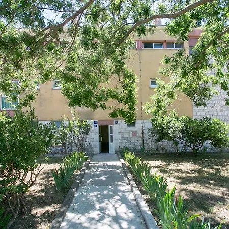 Uncle Albertʹs * Traù